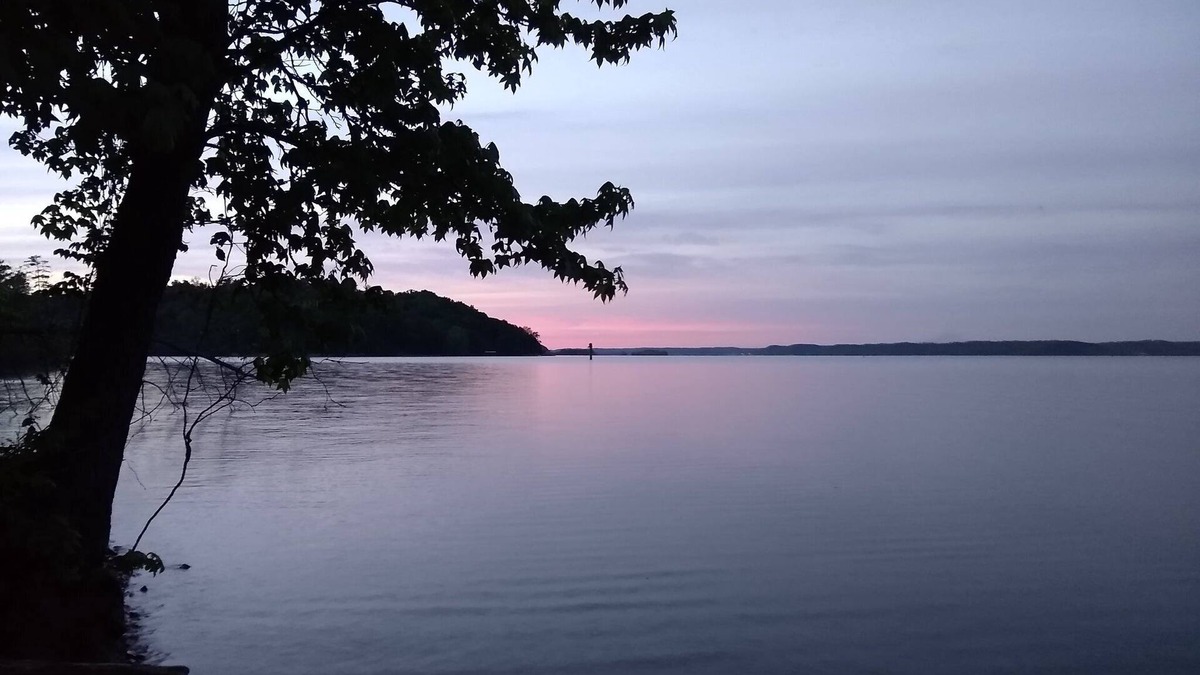 Big Sandy House | Hidden Lakeside Retreat on Kentucky Lake☼Kayaks, Rec Room, Fire Pit Wifi WFH