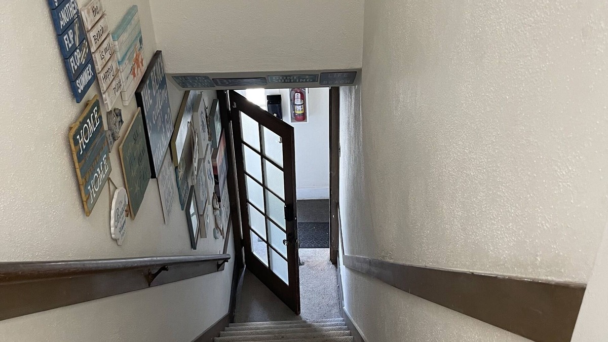 Belmont Heights Apartment | Hidden Treasure in Belmont Heights