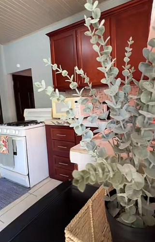 Penal-Debe Apartment | Hidden Treasures