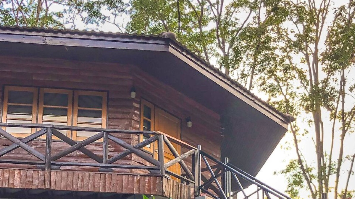 Nong Nam Daeng House | Hidden Treehouse in KhaoYai!