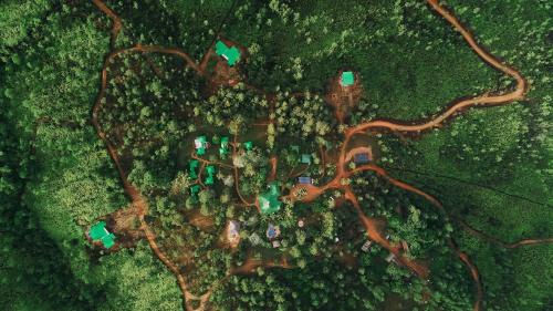 Mountain Pine Ridge Cabin | Hidden Valley Wilderness Lodge
