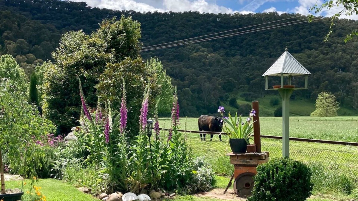 Eskdale Cottage | “Hideaway Cottage” Breakfast & Farmstay in Eskdale.