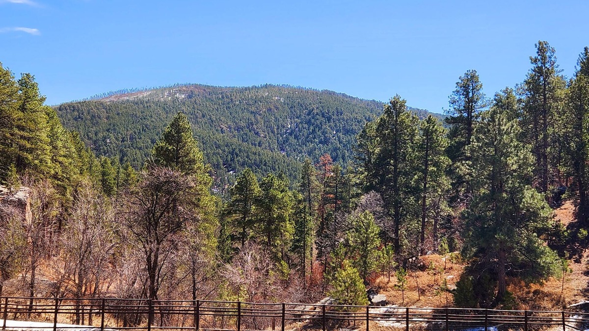 Deadwood House | Hideaway Guesthouse Retreat & Rally Rental!