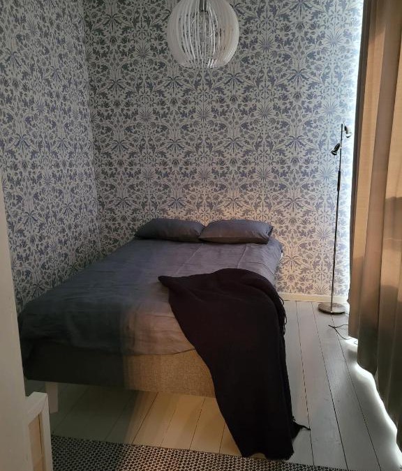 Aanekoski Apartment | Hietman vierastalon sininen huone