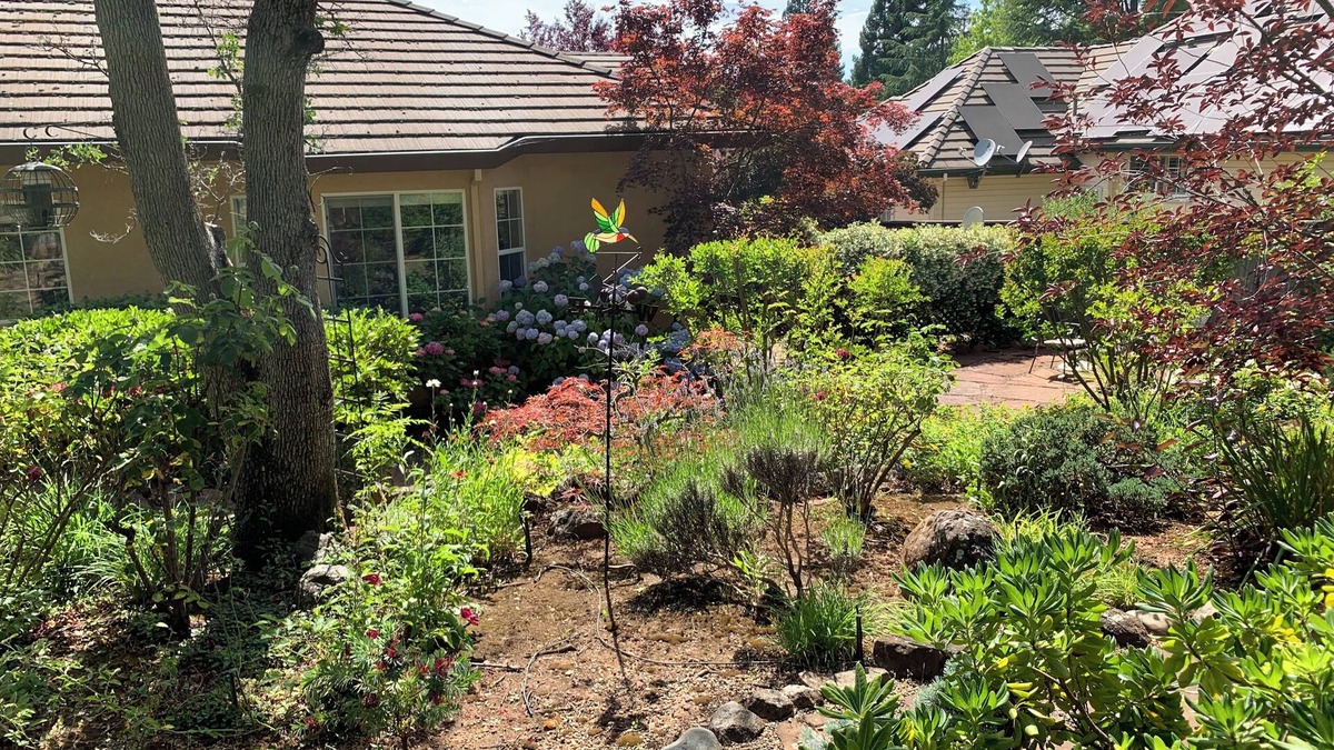 Cameron Park House | High-end exclusive quiet Eastwood Park neighborhood in beautiful Cameron Park