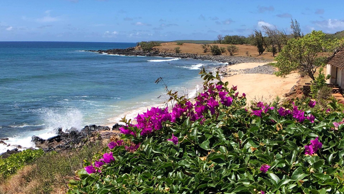 Ualapue Apartment | High-end Resort Condo Nestled on Molokai Shoreline