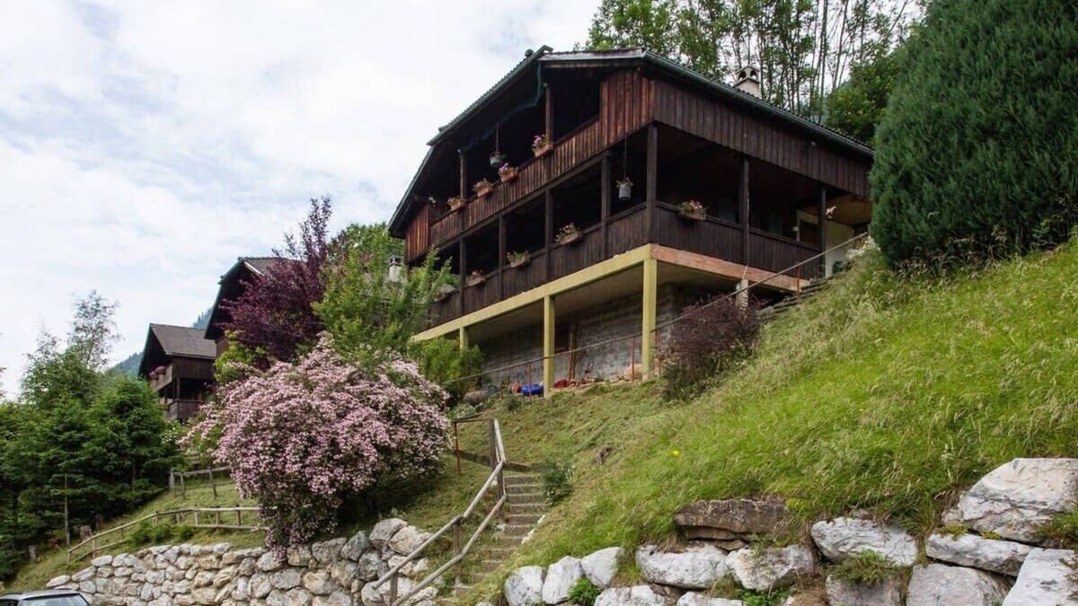 Chateau-d'Oex Ski Chalet | High Mountain Chalet - Great Views!