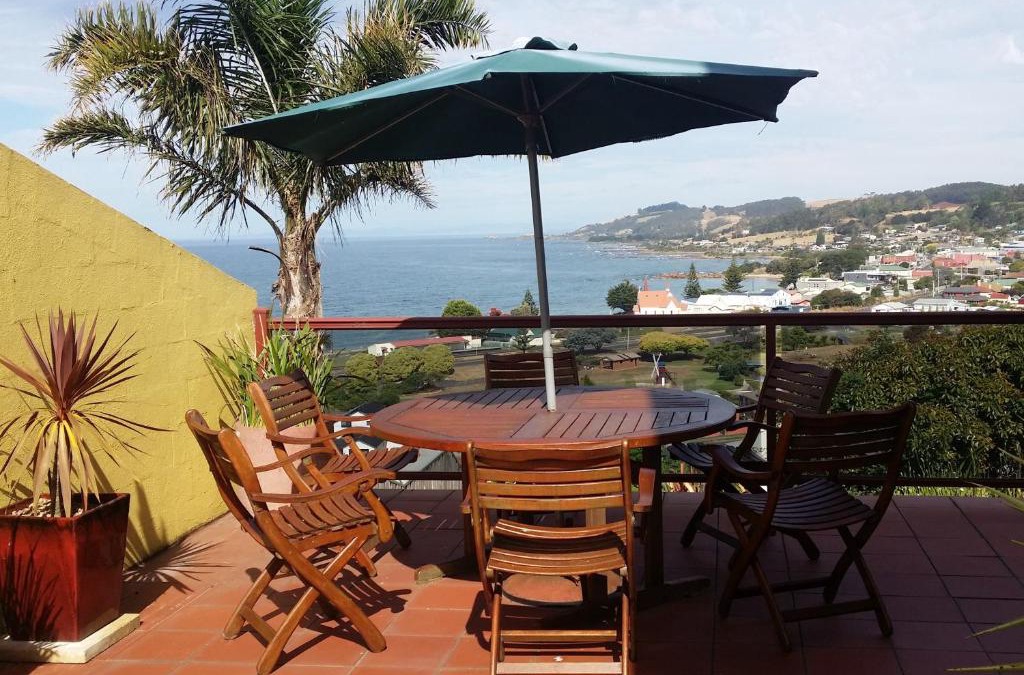 Penguin Bed & Breakfast | High On Penguin