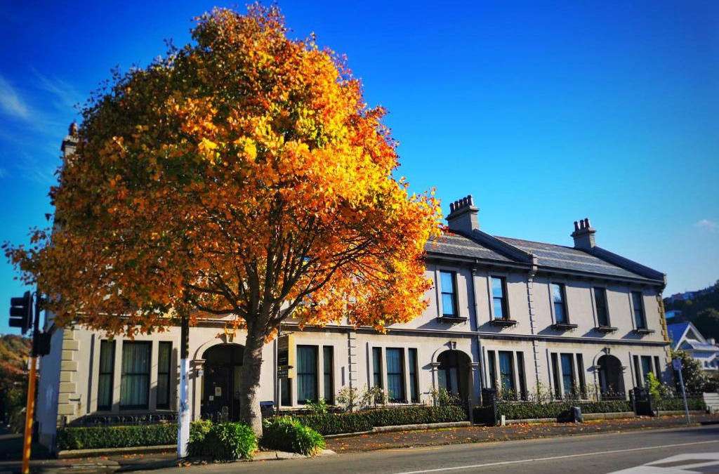 North Dunedin House | Highland House Boutique Hotel
