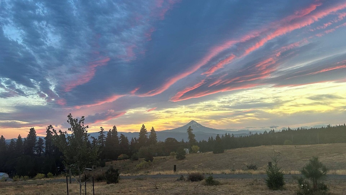 Lyle House | Highlands House - 5 acres with Mt. Hood Views. Dog Friendly!
