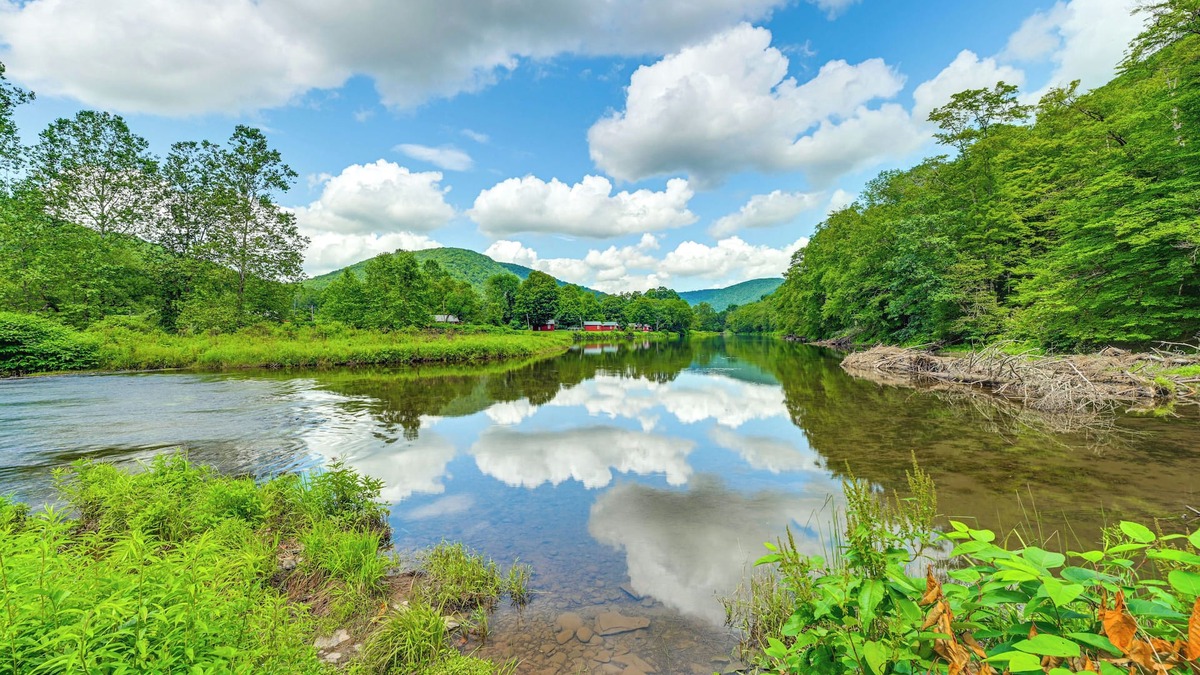 East Branch Cabin | Hike & Fish: Delaware River Cabin w/Views