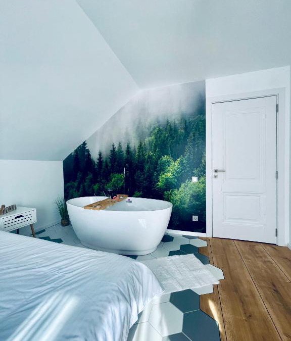 Toplita Villa | Hill House SD