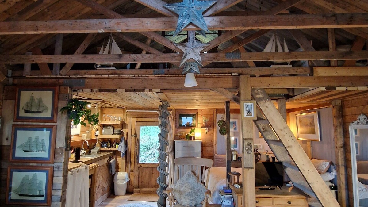 Penrhyn Bay Cabin | Hills above and sea below - The Crow's Nest 🐦‍⬛