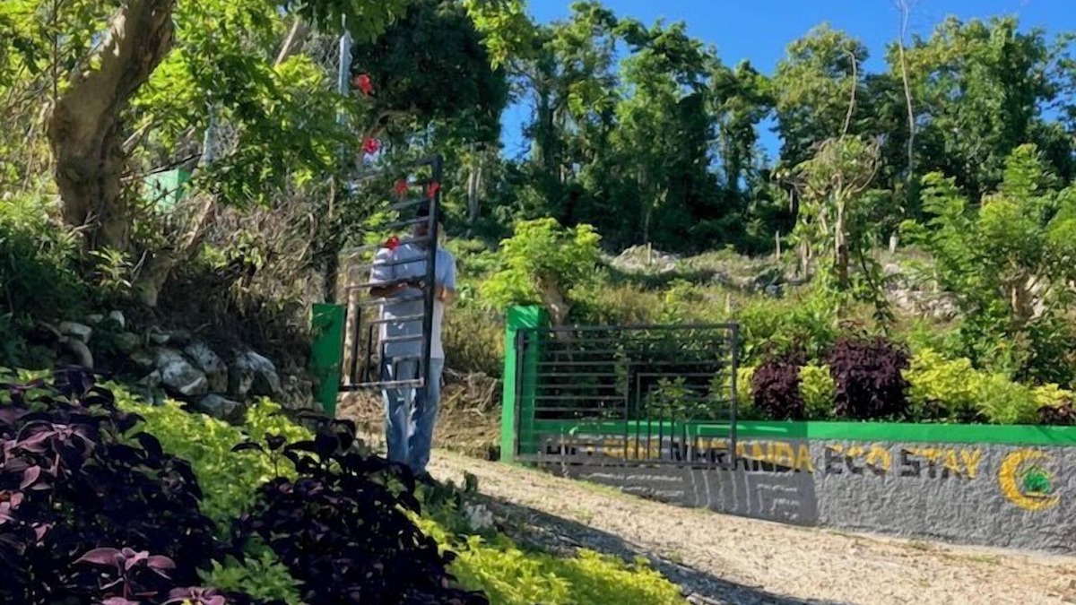 Seaford Town Bed & Breakfast | Hillside Veranda