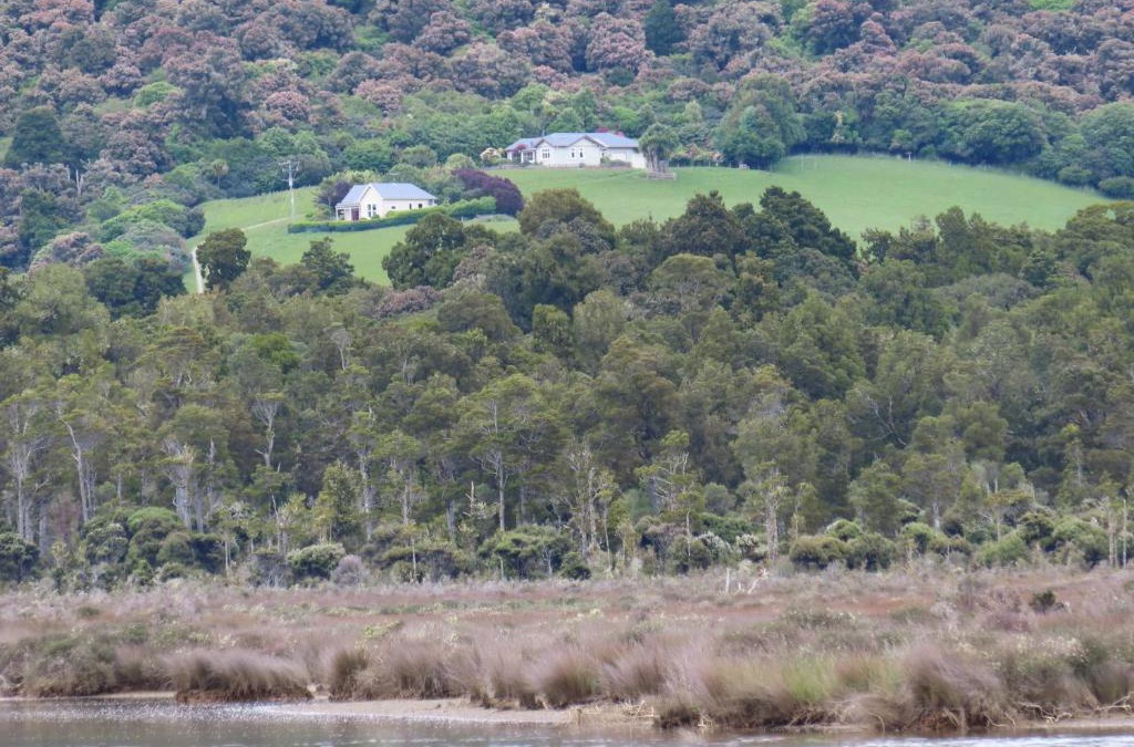 Papatowai Cabin | Hilltop Accommodation Catlins