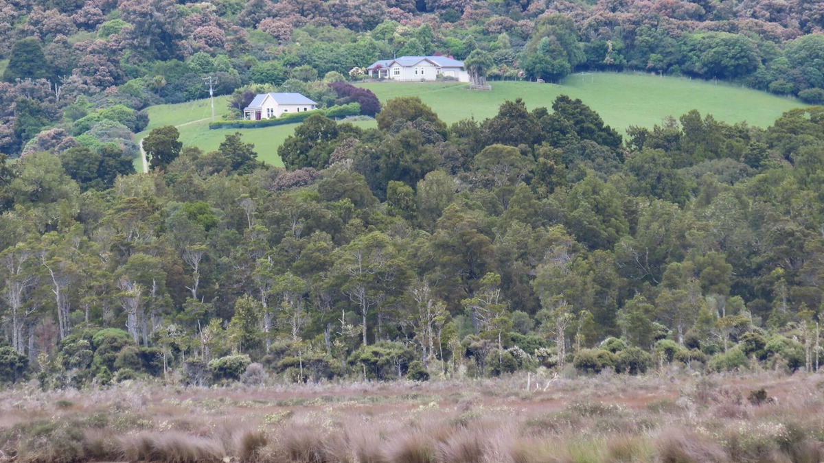 Papatowai Cottage | Hilltop Accommodation Catlins - Cottage