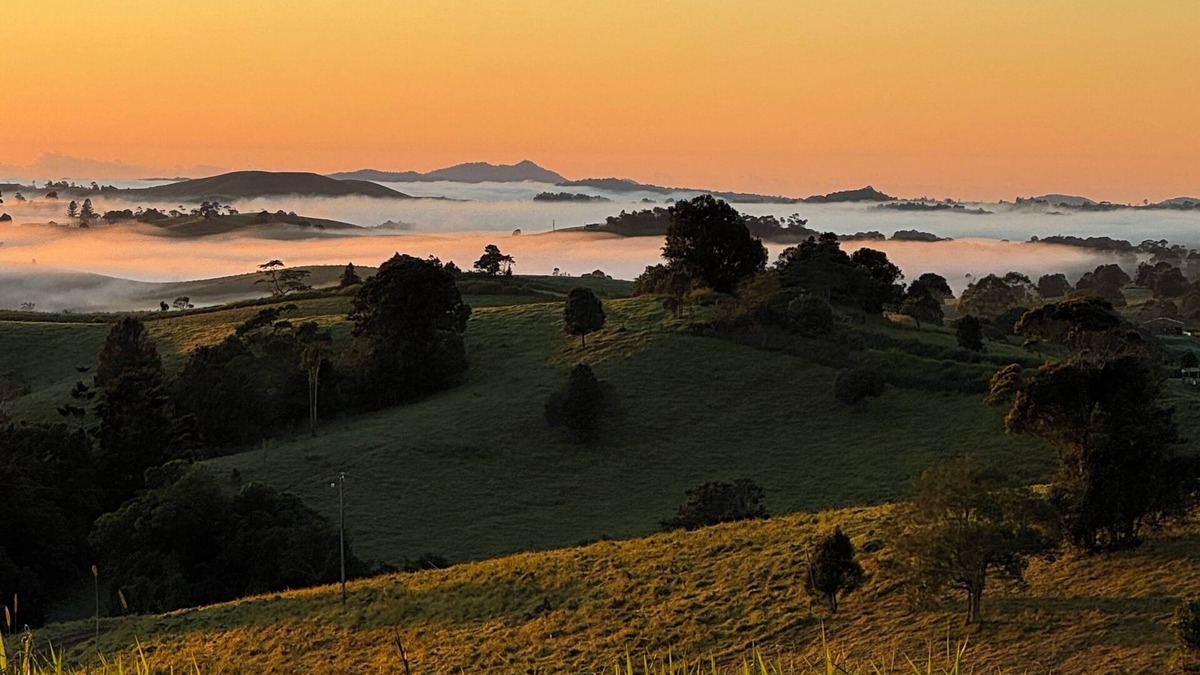 Jaggan House | Hilltop haven spectacular views on the edge of pure rainforest Malanda.