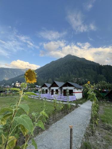 Kasol House | Himtrek Stay Kasol