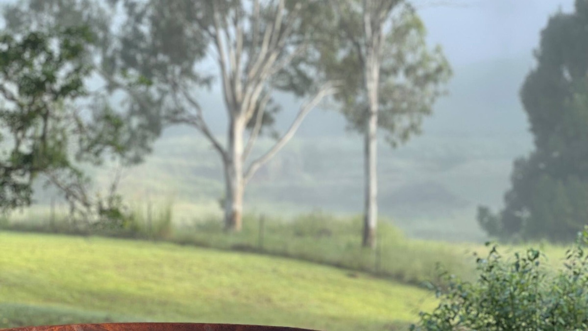 Pearces Creek House | Hinterland