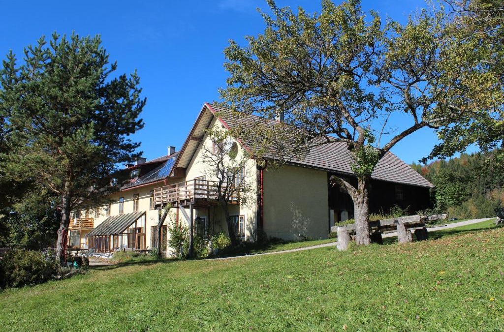 Reinsberg House | Hirmhof