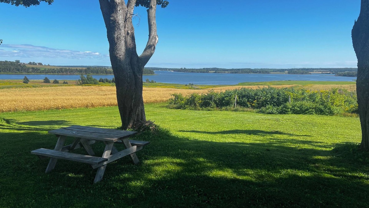 Clyde River House | Historic 4-bedroom farm and vineyard on 100 acres with waterfront