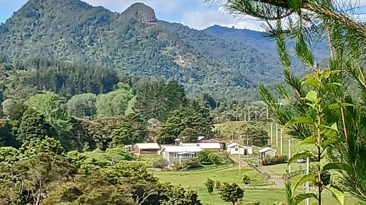Coromandel Forest Park Other | Historic Devcich Farm - Homestead