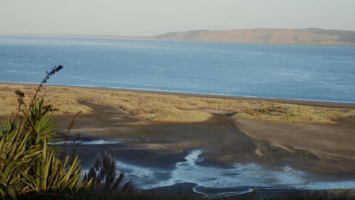 South Head Cottage | Historic Farm Cottage with spectacular harbour/rural views
