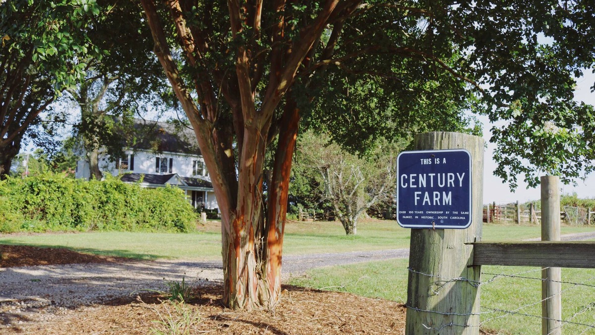 Williamston House | Historic Farm House on 400 Acre Cattle Farm near Clemson, SC