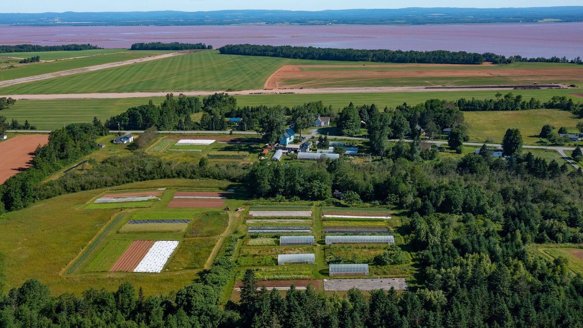 Maitland Other | Historic farmhouse on organic veggie farm on the Bay of Fundy