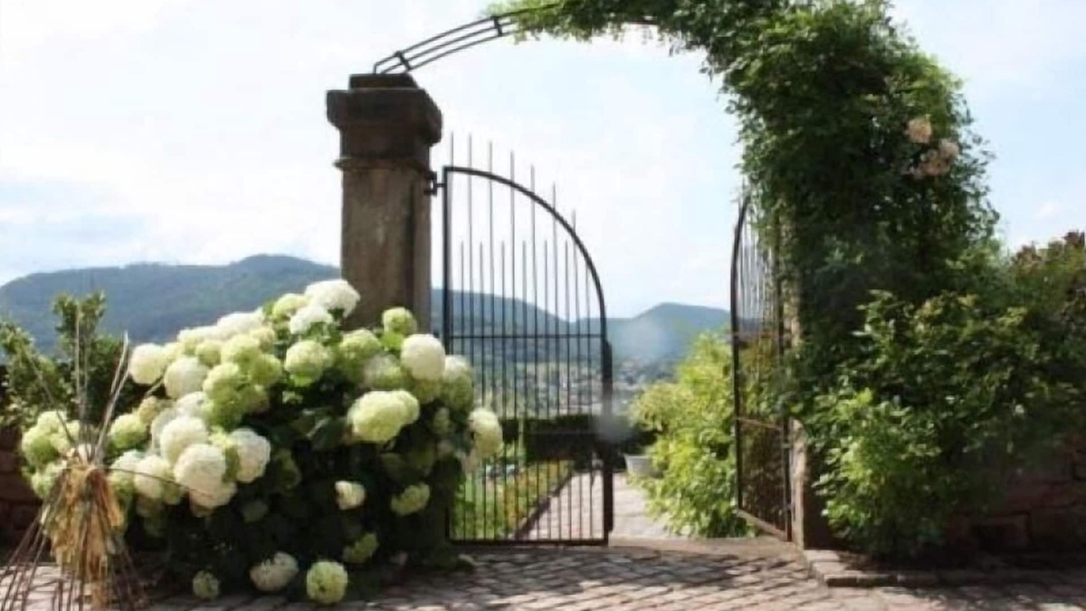 Saint-Die Cottage | Historic Gîte with Forest Views, Near Alsace, Perfect for Couples