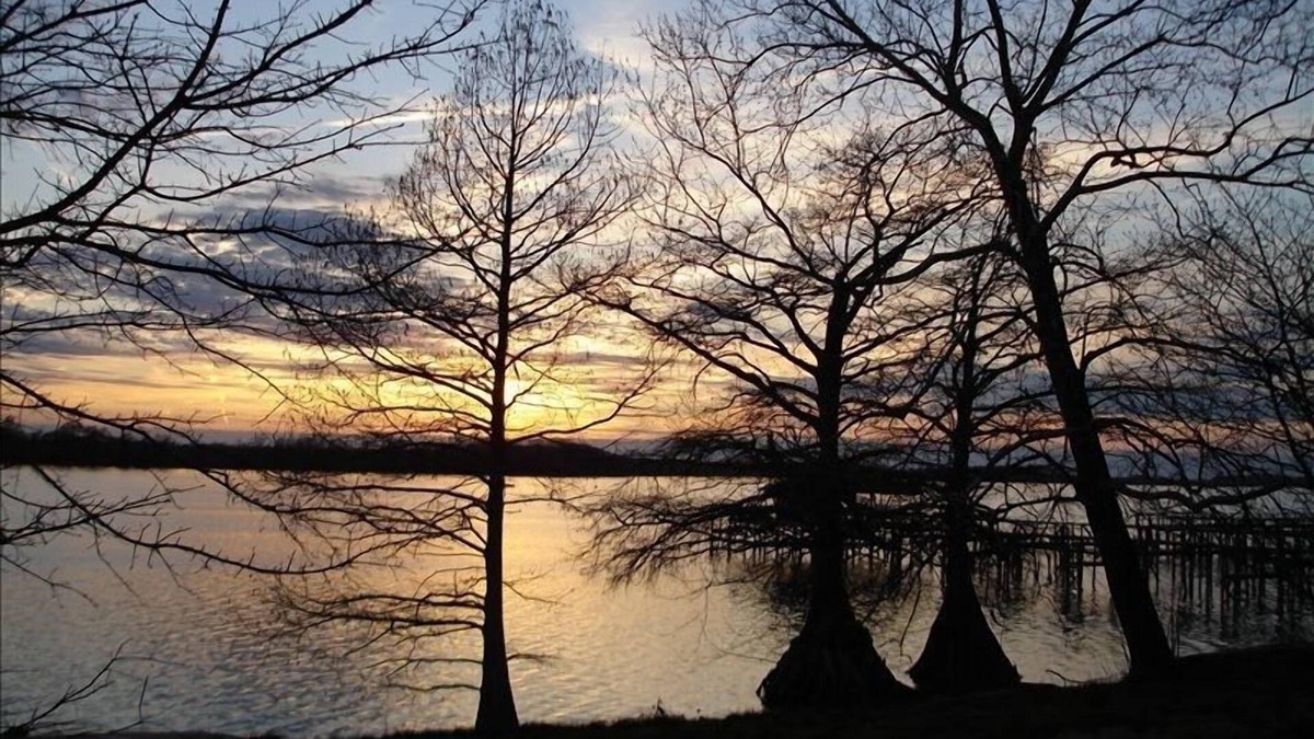 Horseshoe Lake House | Historic Horseshoe Lake Cottage
