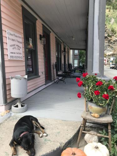 Georgetown Bed & Breakfast | Historic Windsor