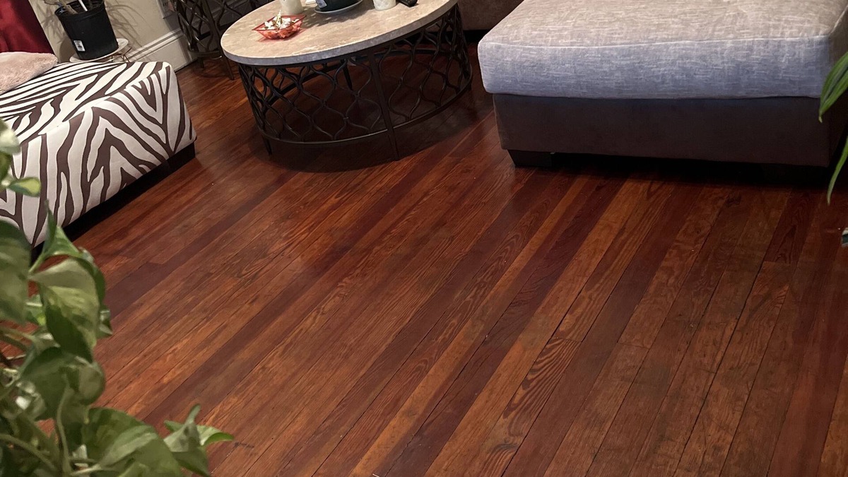 South Norfolk Apartment | Historical section of Chesapeake. Propertie nice and groomed quiet neighborhood.