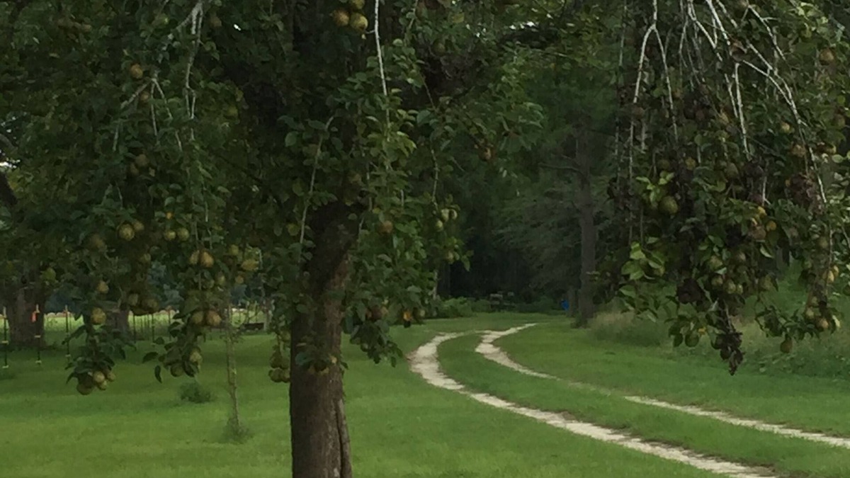 Bristol House | HISTORICAL STAGECOACH RD, LOBLOLLY FOREST FARM STAY NEAR LITTLE SATILLA RIVER