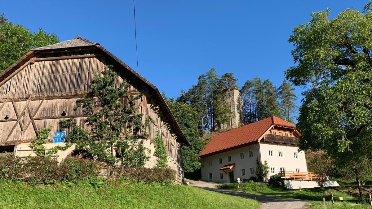 Dellach im Drautal House | Historisches Forsthaus Stein - Ruhe und Ausblick