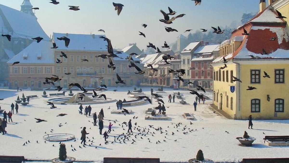 Brasov City Centre Apartment | History & Luxury Piata Sfatului
