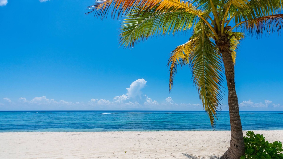 Savannah Condo | Hits the Spotts: Your Tranquil Island Retreat
