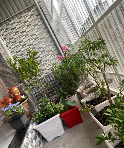 Dat Do House | Hiwinwin Homestay Holiday
