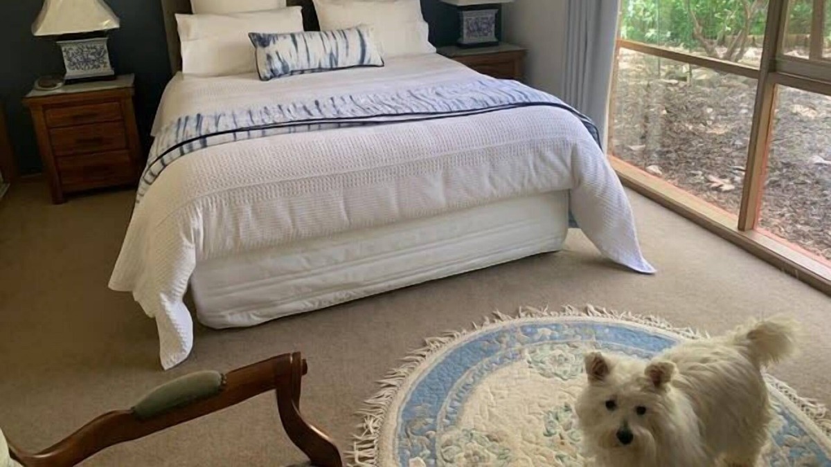 Woodend North House | Hobreid House country stay w garden - pets welcome