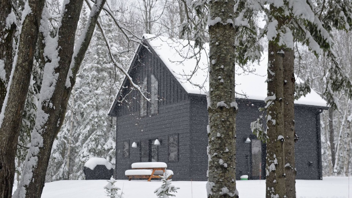 Herbster Cabin | Hodag House | Magical Cabin & Creature Comforts
