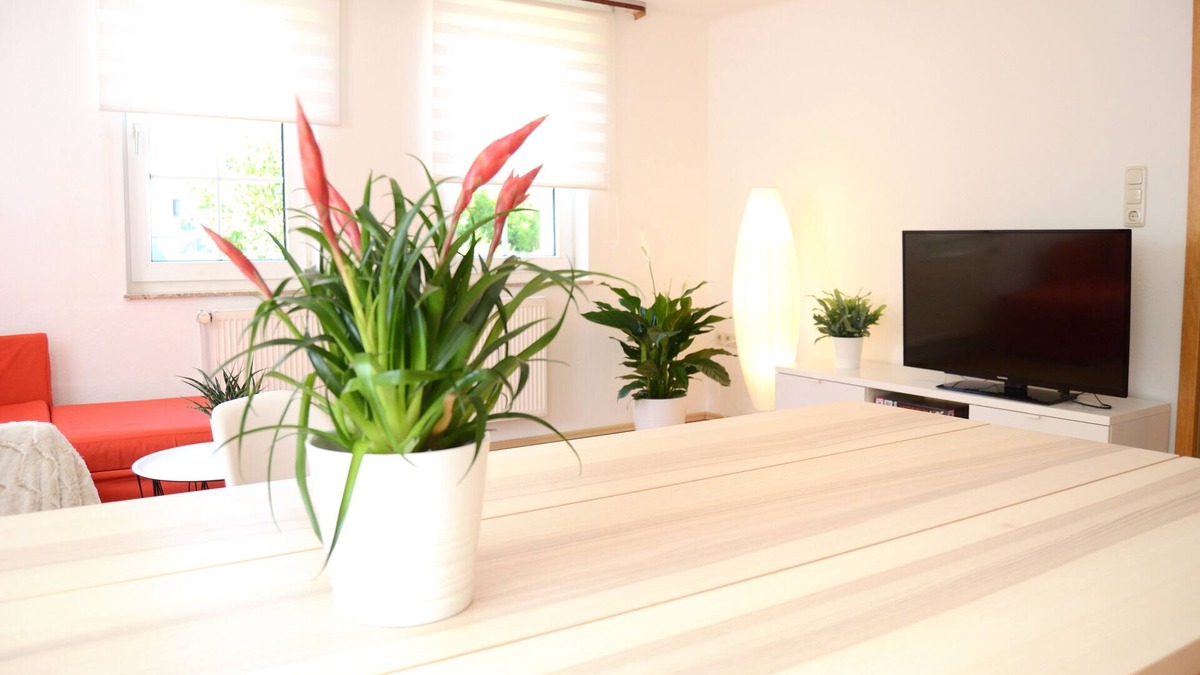Wildeck Apartment | #Hoenepartment - time out in Waldhessen for up to 6 people