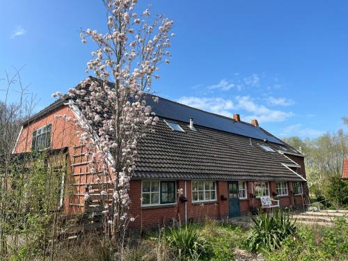 Municipality of Westerwolde Bed & Breakfast | Hoeve Veganza B&B