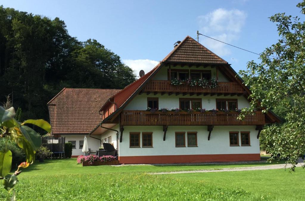 Gutach Apartment | Hof hinter der Mühle