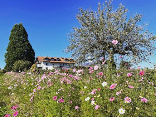 Waggershausen Apartment | Hofgut Bergchalet Mirabell - Natururlaub am Bodensee