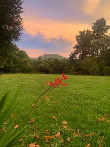 Hogsback House | Hogsview