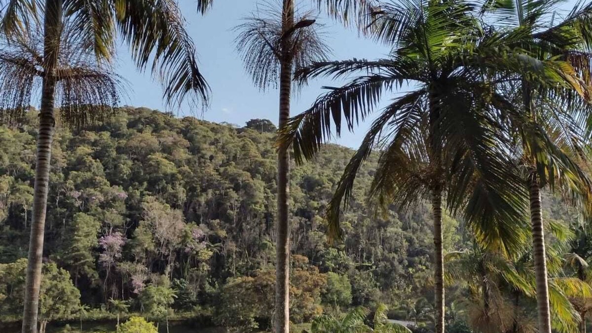 Juquitiba House | HOLIDAY AND WEEKEND RENTALS