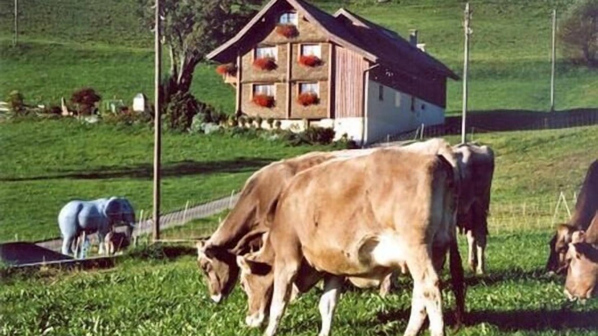 Flums Other | Holiday apartment Flumserberg Bergheim for 1 - 6 persons with 3 bedrooms - Farmhouse