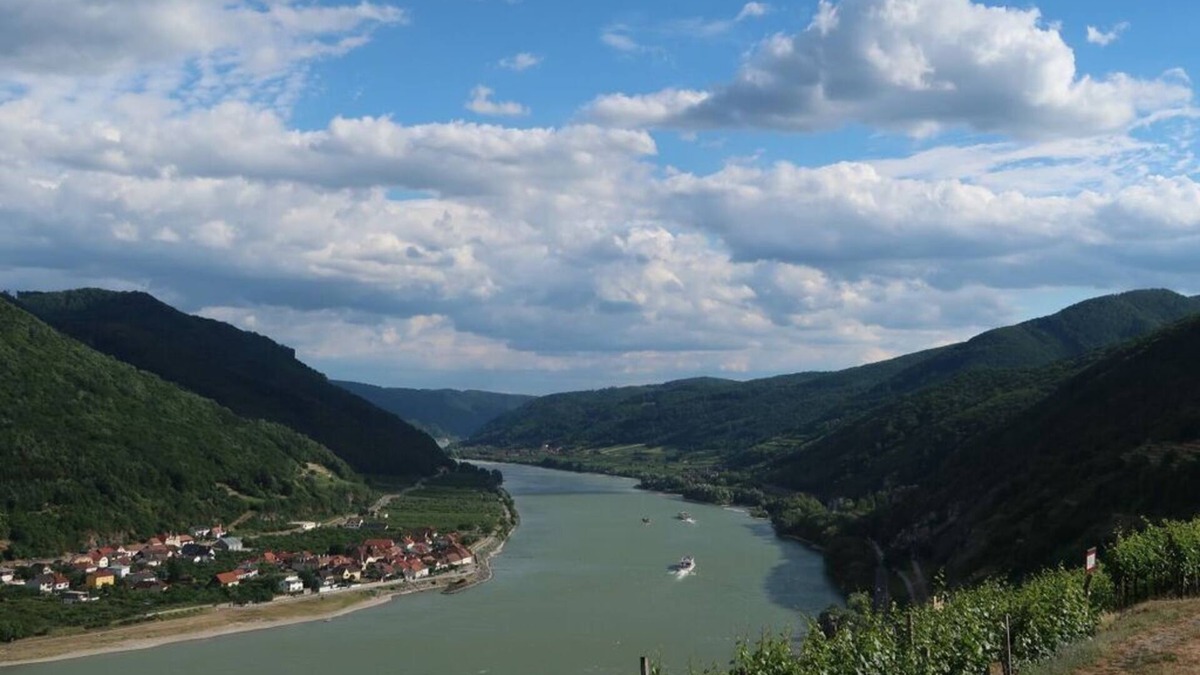 Mitterarnsdorf Apartment | Holiday apartment summer Wachau 2