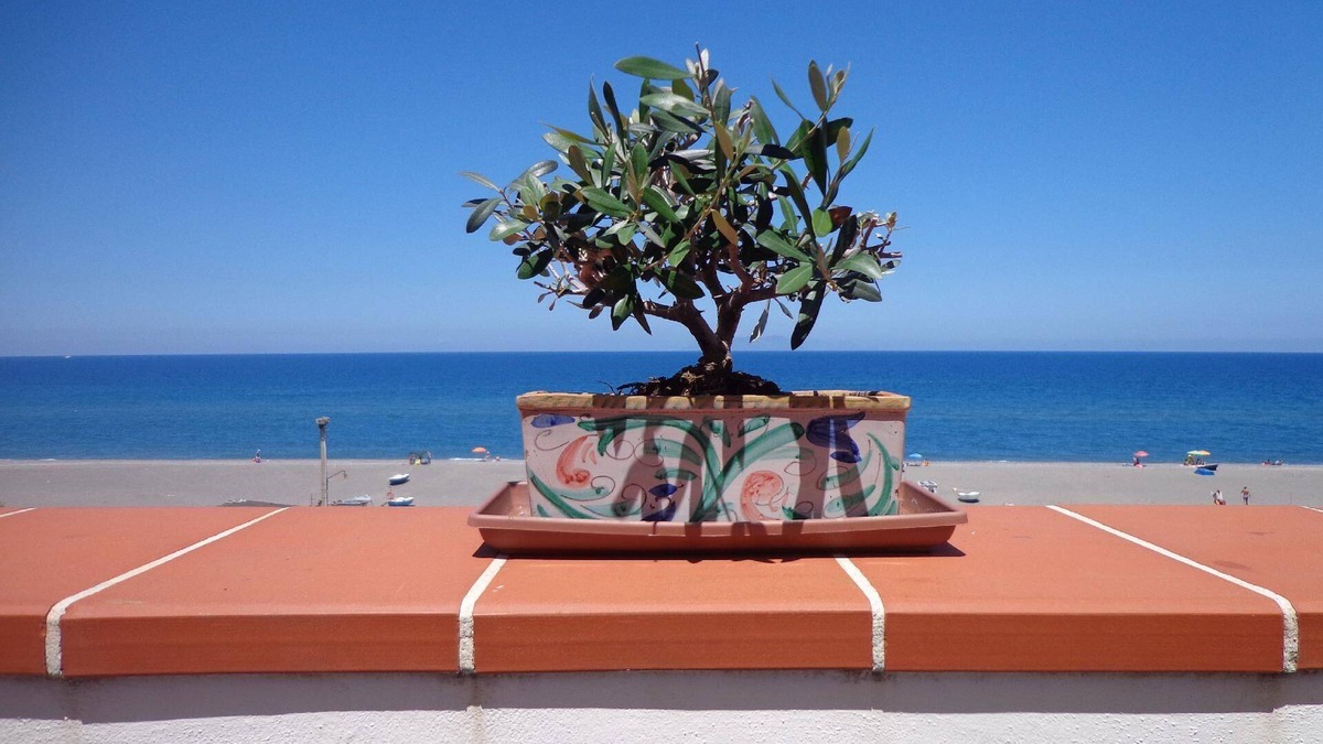 Marchesana Apartment | Holiday apartment Terme Vigliatore for 1 - 5 persons with 2 bedrooms - Holiday apartment
