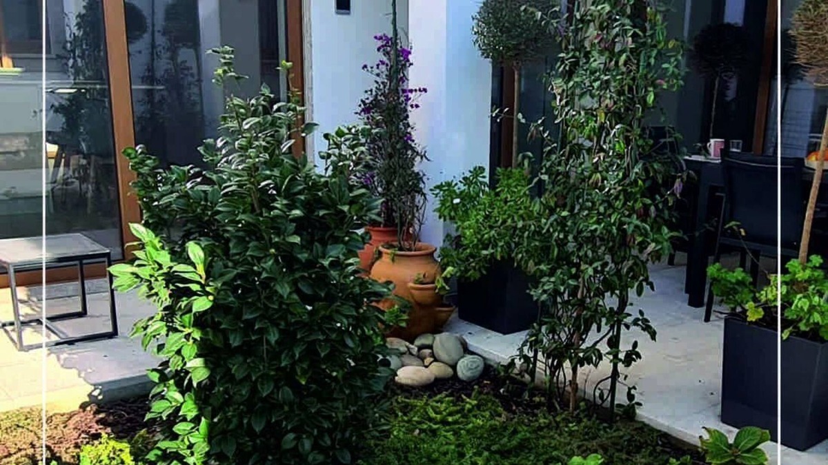 Monserrate Apartment | Holiday apartment Viana do Castelo for 1 - 4 persons with 2 bedrooms - Holiday apartment